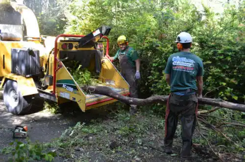 tree services Sea Ranch Lakes